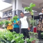 Peluncuran